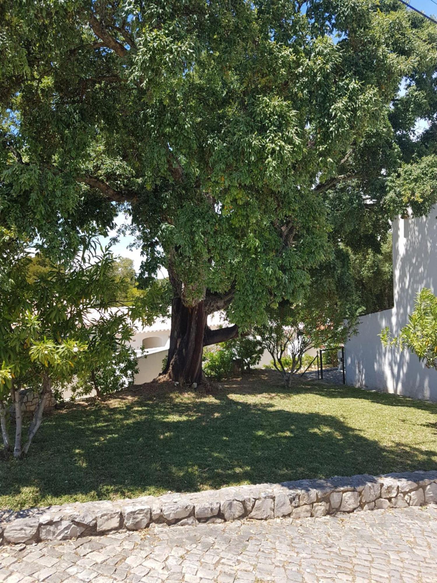 Balaia Gardens, Jardins Da Balaia Hotel Албуфейра Екстериор снимка